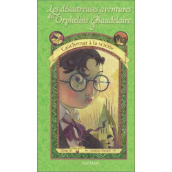 Les Désastreuses Aventures des orphelins Baudelaire tome 4 :...