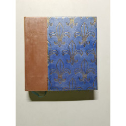 Histoire de France tome onzième