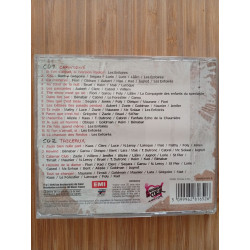 2010 - les enfoirés la crise de neres