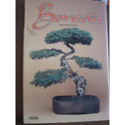 Bonsaïs par Christine stewart