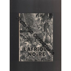 L'afrique noire