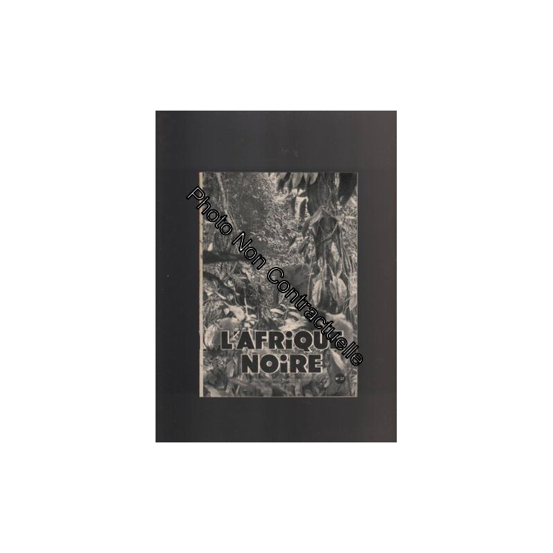 L'afrique noire