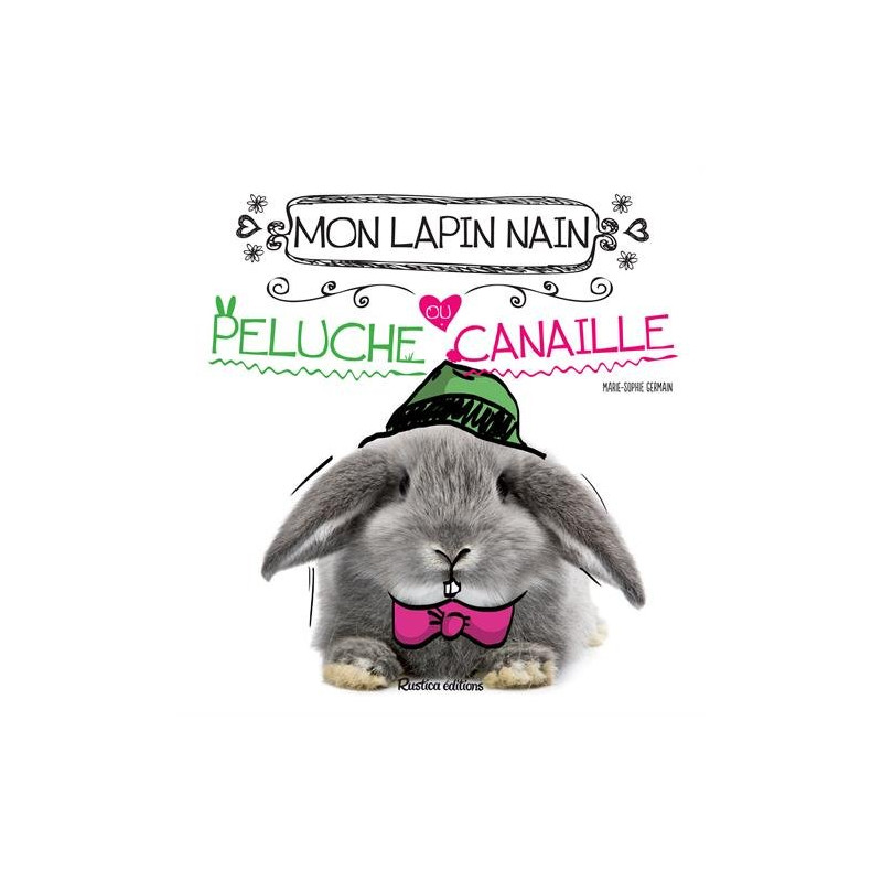 Mon lapin nain peluche ou canaille