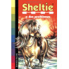 Sheltie : Sheltie a des problèmes Sheltie : Sheltie a des problèmes