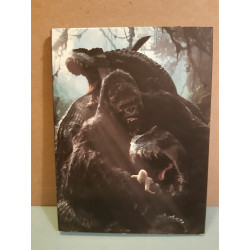 King Kong Naomi Watts Jack Black DVD