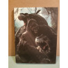King Kong Naomi Watts Jack Black DVD