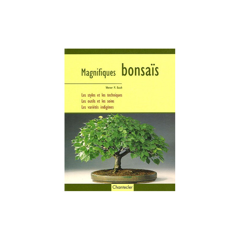 Magnifiques bonsaïs