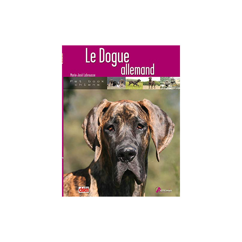 Le dogue allemand
