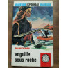 Anguille sous roche