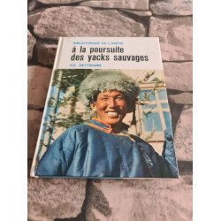 À la poursuite des yacks sauvages