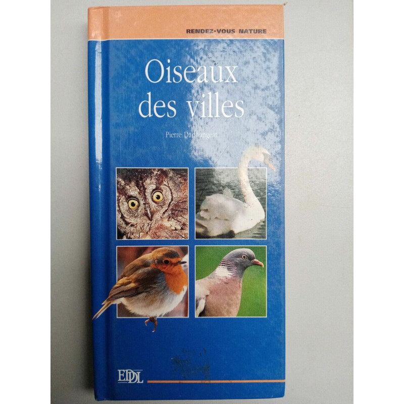 Oiseaux des villes Pierre Darmangeat rendez vous nature