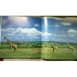 Le monde des bébés animaux