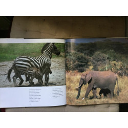 Le monde des bébés animaux