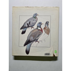 Animaux sauvages d' europe (Regard)