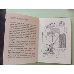 Leselöwen Feriengeschichten