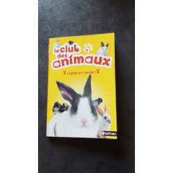 Lapins en cavale (4)