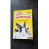 Lapins en cavale (4)