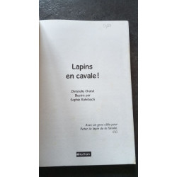 Lapins en cavale (4)