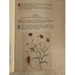 Guide des plantes herbes et baies sauvages comestibles et médicinales