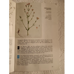 Guide des plantes herbes et baies sauvages comestibles et médicinales