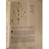 Guide des plantes herbes et baies sauvages comestibles et médicinales