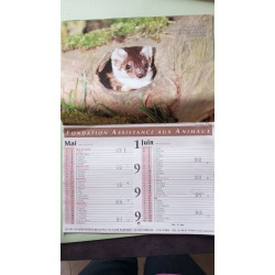 Le calendrier des animaux 1999