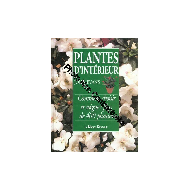Plantes D'interieur - Comment Choisir Et Soigner Plantes D'interieur - Comment Choisir Et Soigner