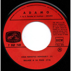 Vous Permettez Monsieur