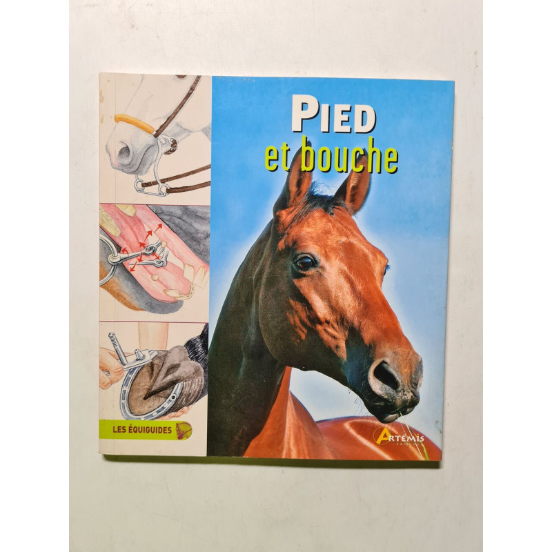 Pied et bouche