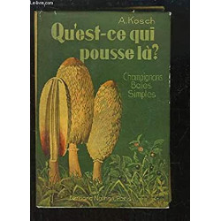 QU'EST-CE QUI POUSSE LA ? CHAMPIGNONS BAIES SIMPLES