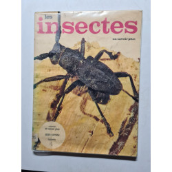 Les insectes en savoir plus