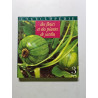 Des fleurs et des plantes de jardin tome 3