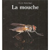 La mouche La mouche