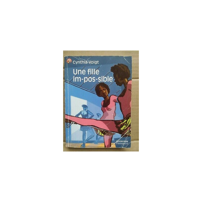 Une fille im pos sible flammarion