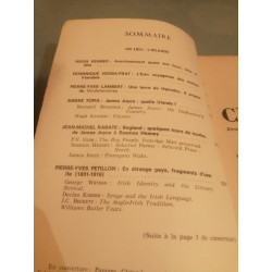 Revue Critique n421 422 Un lieu l'irlande juin juillet 1982