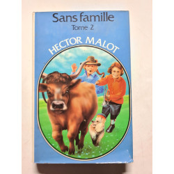 Sans Famille tome 2