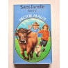 Sans Famille tome 2