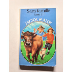 Sans Famille tome 2