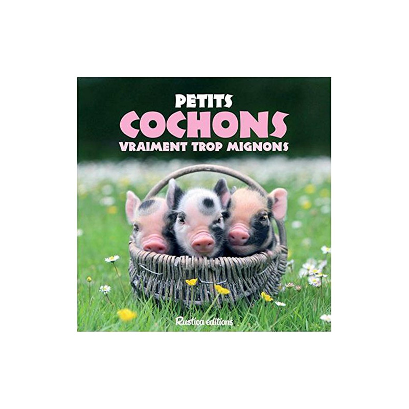 Petits cochons vraiment trop mignons