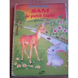 Sur les traces de sam le petit lapin