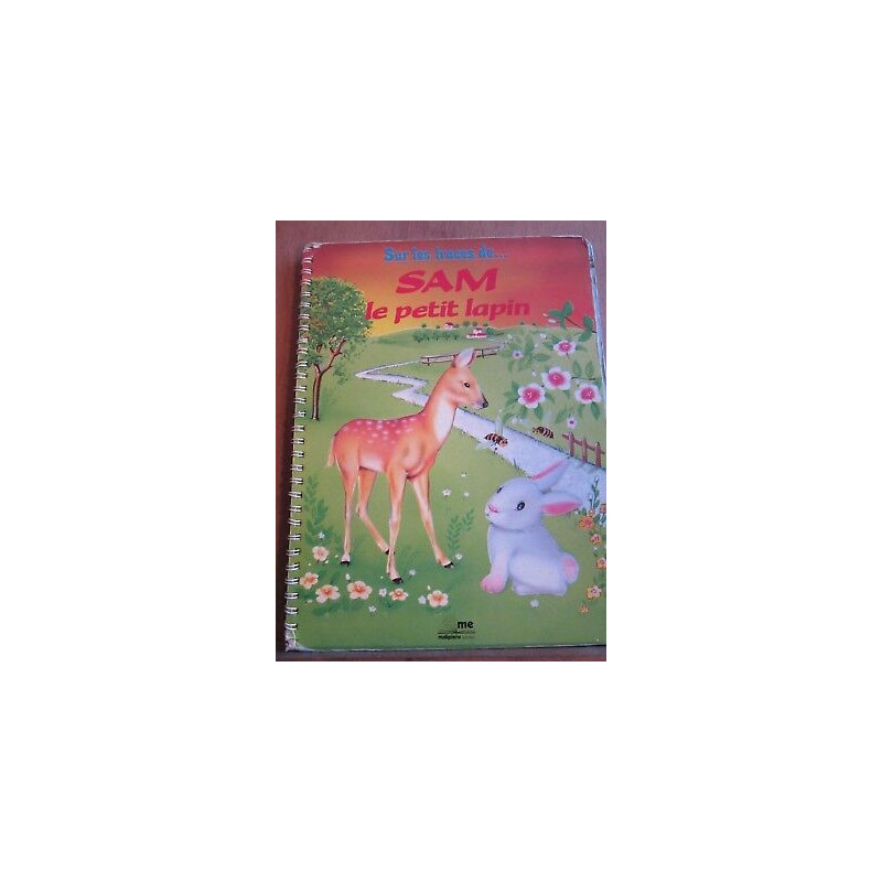Sur les traces de sam le petit lapin