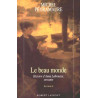 Le Beau monde : histoire d'Anna Labrousse servante