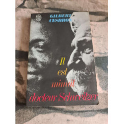 Il est minuit docteur Schweitzer
