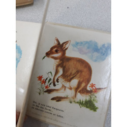 Animaux en liberte