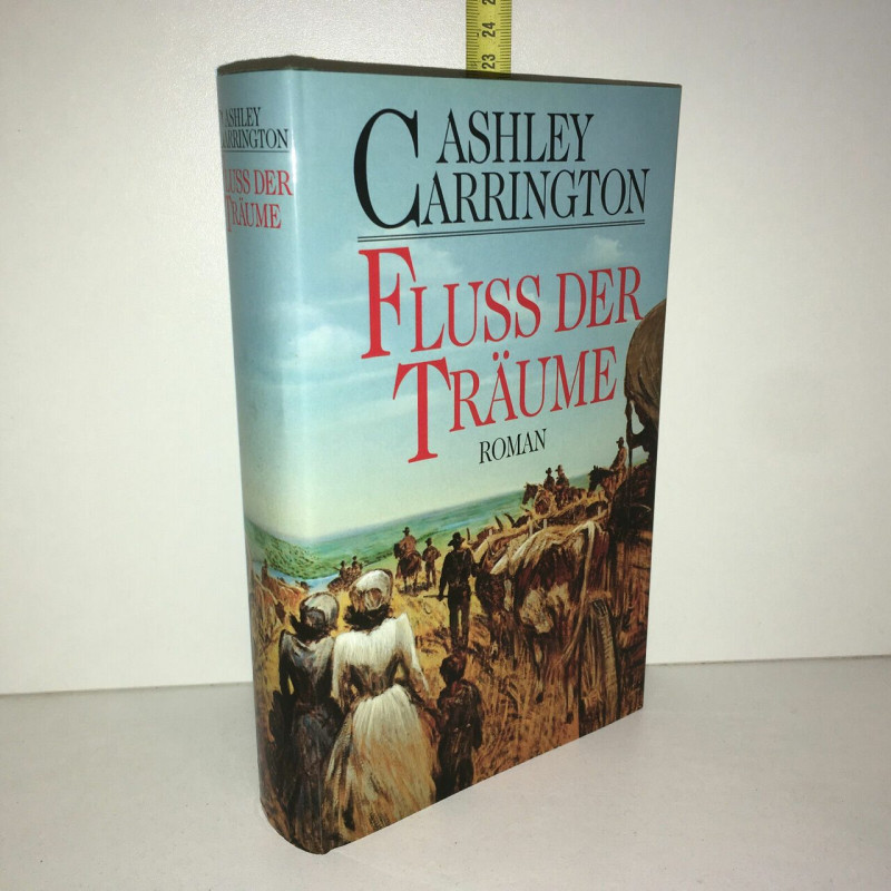 FLUSS DER träume roman