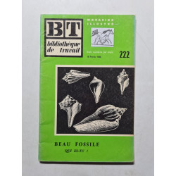 Bibliotheque de travail beau fossile nº 222