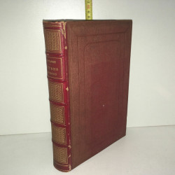 LETTRES CHOISIES DE VOLTAIRE Moland GARNIER Staal Philippoteaux