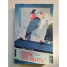 Robin des graffs