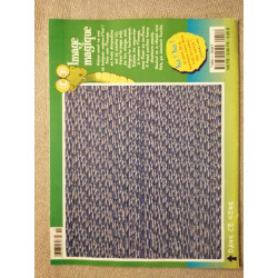 Artiste Junior nº51