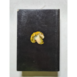 Champignons Atlas Illustré